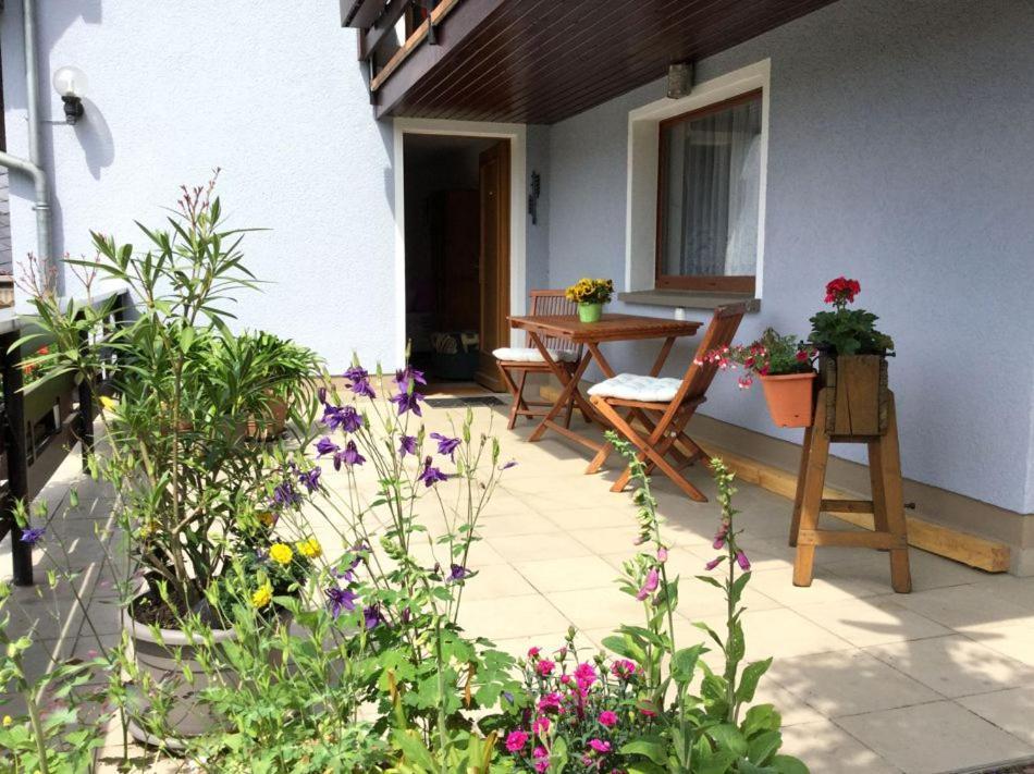 Pension Elblinge Apartment Prossen ภายนอก รูปภาพ